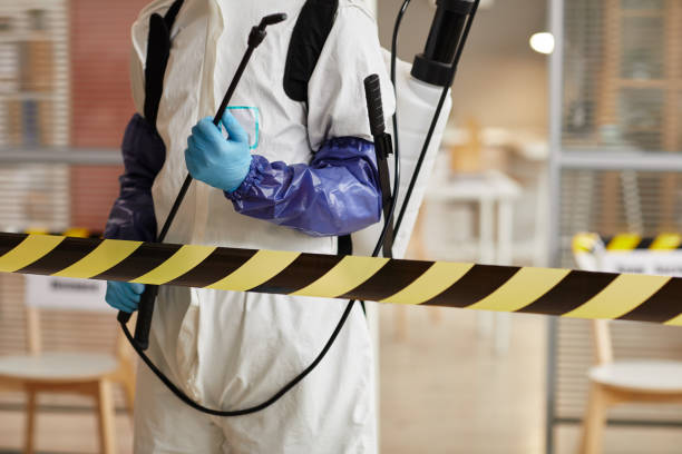 Professional Sewage Cleanup technician working in Potsdam, OH